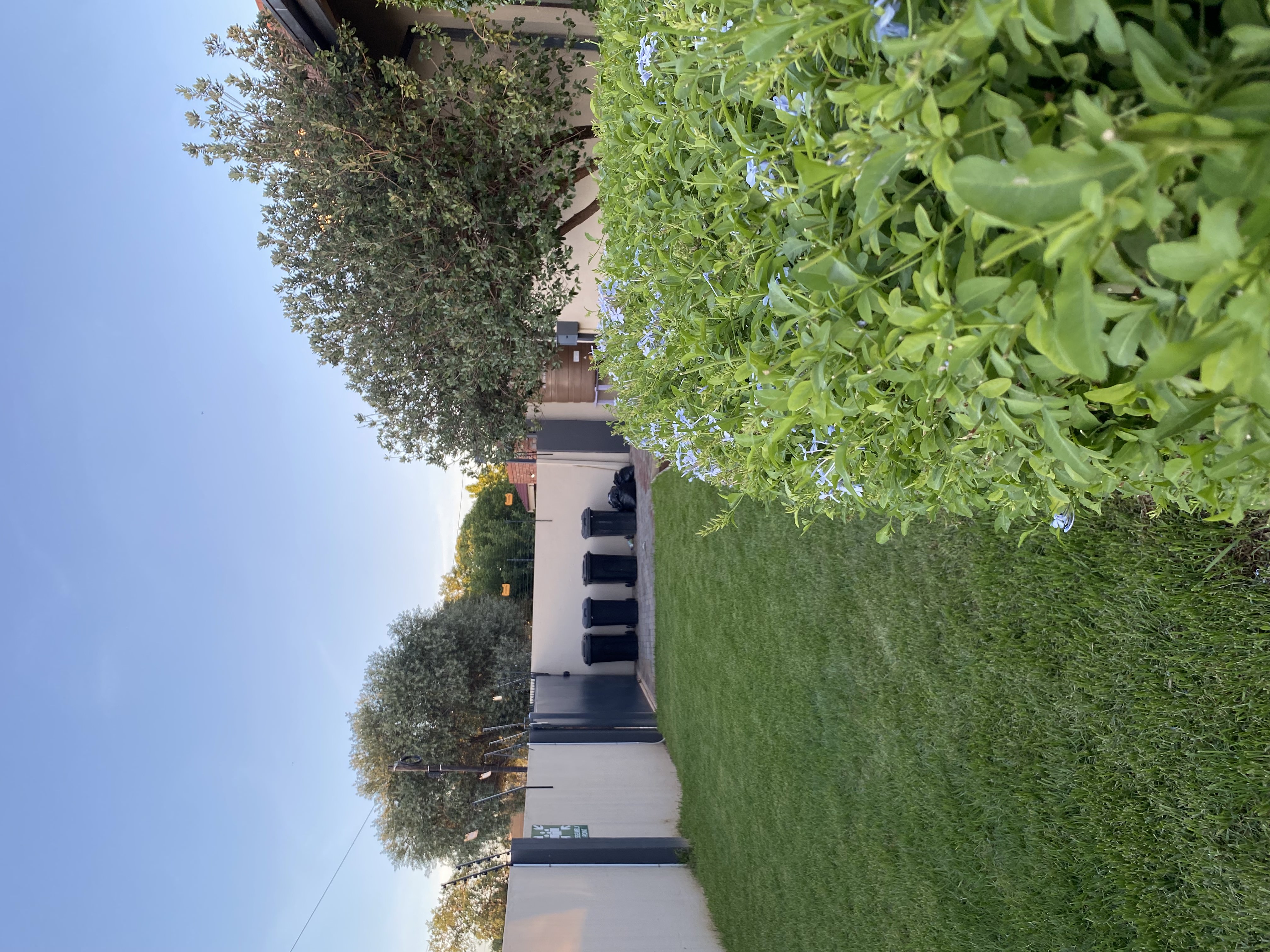 Room View 1